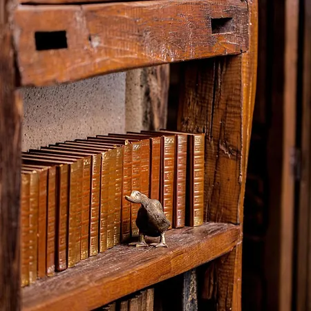 Otel Moulin De Cambelong- Emilie & Thomas Conques-en-Rouergue